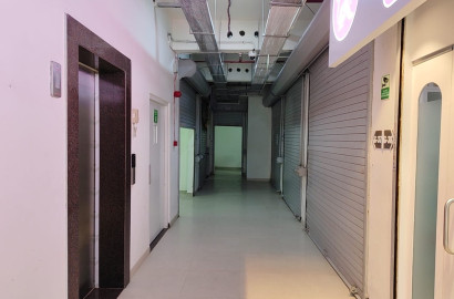 Raymond Realty Ten X vibes