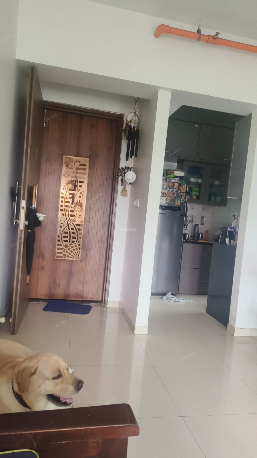 3 BHK Flat for Rent in Kalpataru Immensa, Thane West